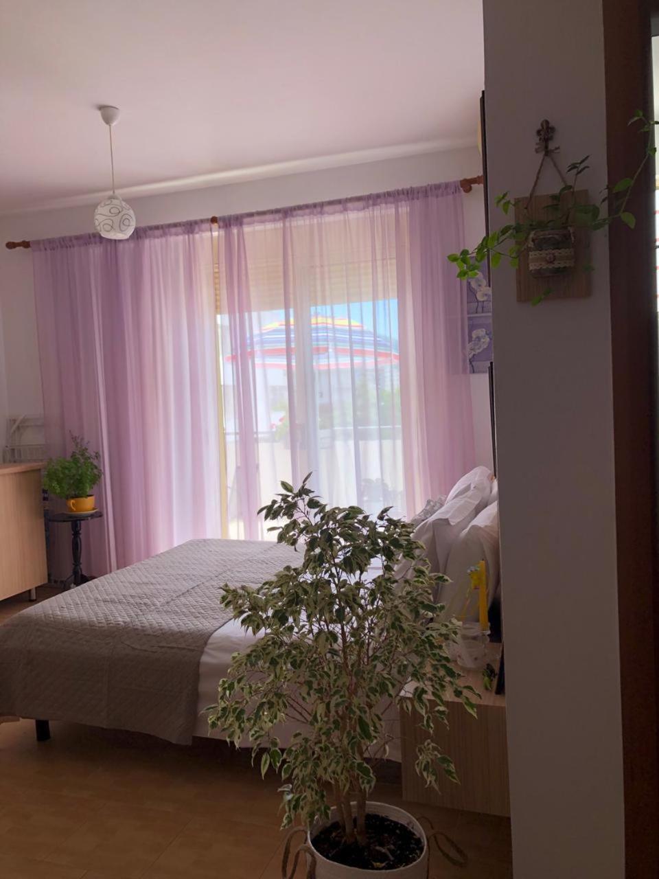 Studio Of Shpresa Vlorë Buitenkant foto
